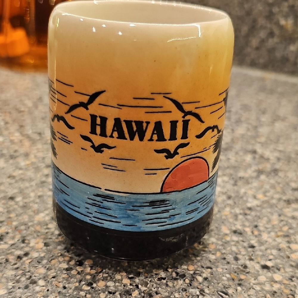 STUNNING RARE Vintage Hawaii Kauai Sunset Etched Mug